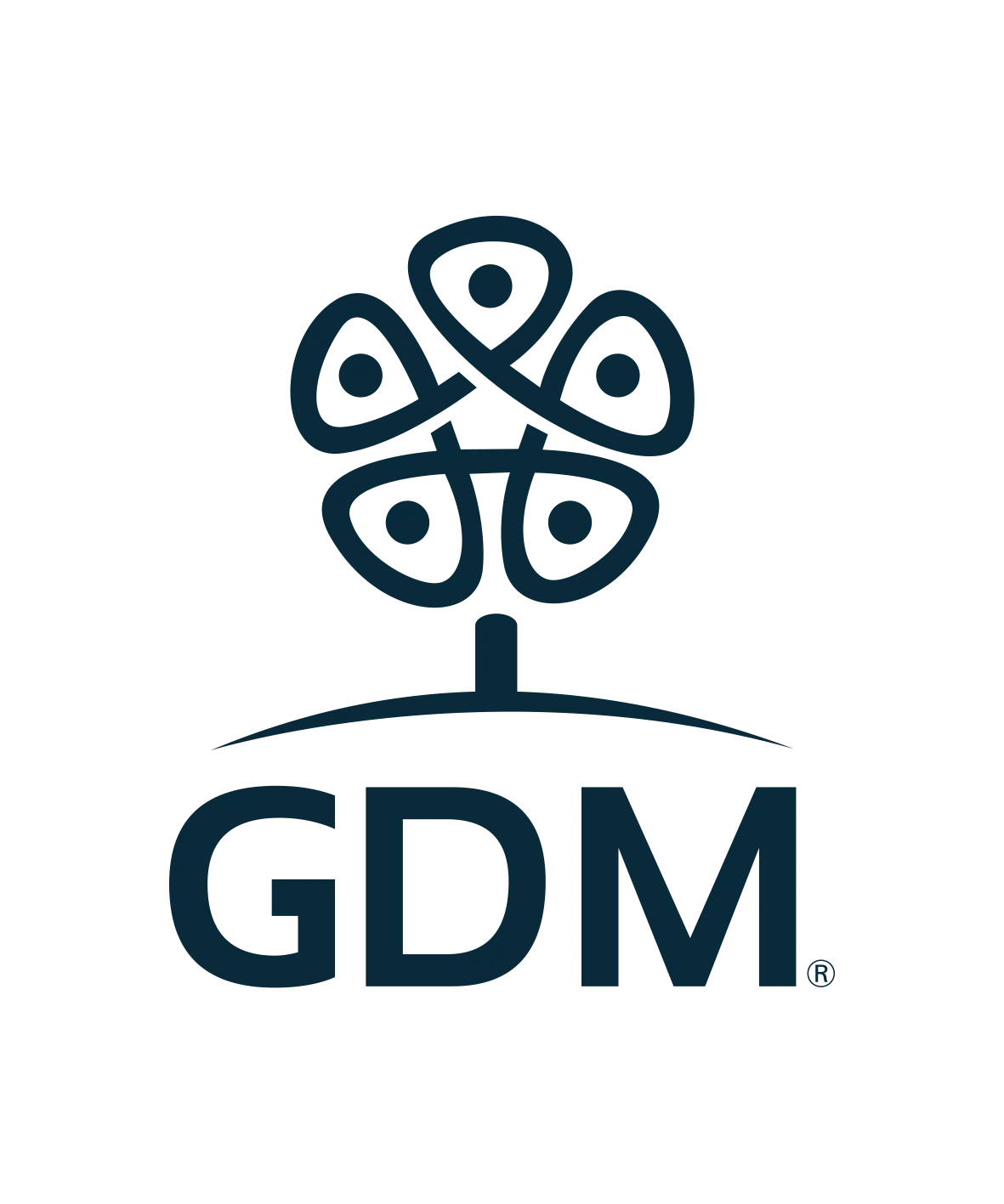 Logo GDM